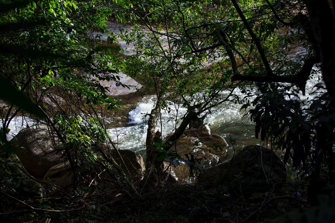 Jardim Pousada da Alcobaa