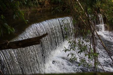 Jardim Pousada da Alcobaa