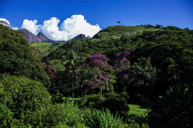 Jardim Pousada da Alcobaa